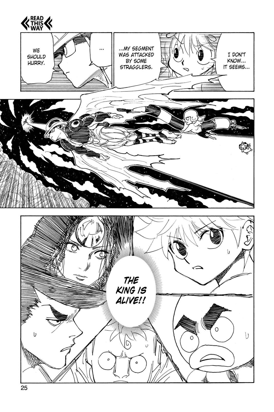 Hunter x Hunter Chapter 301 — page 25