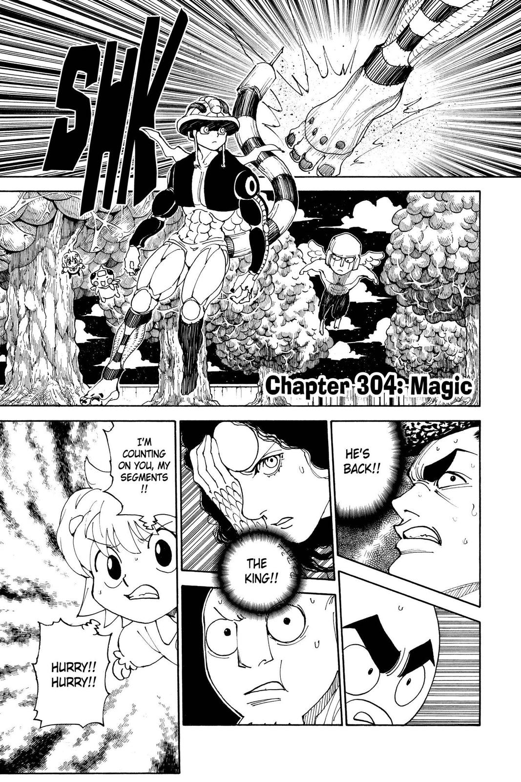 Hunter x Hunter Chapter 304 — page 1