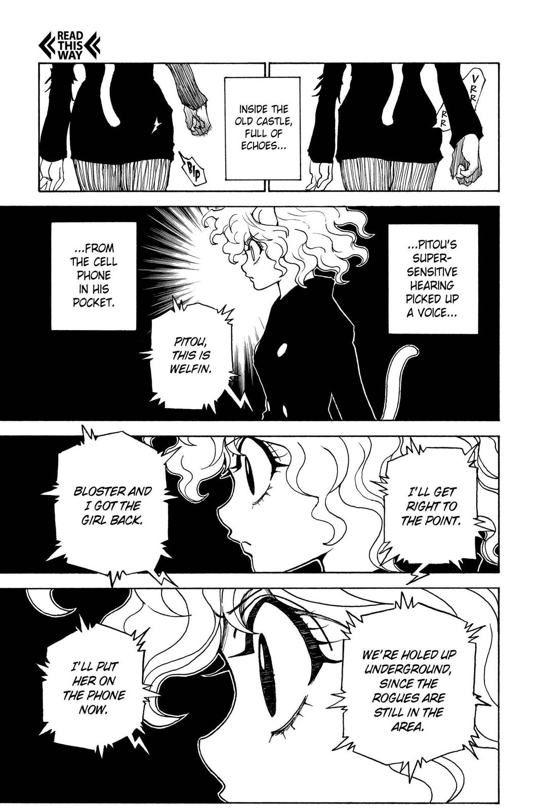 Hunter x Hunter Chapter 304 — page 8