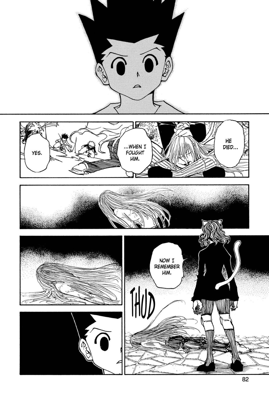 Hunter x Hunter Chapter 304 — page 14