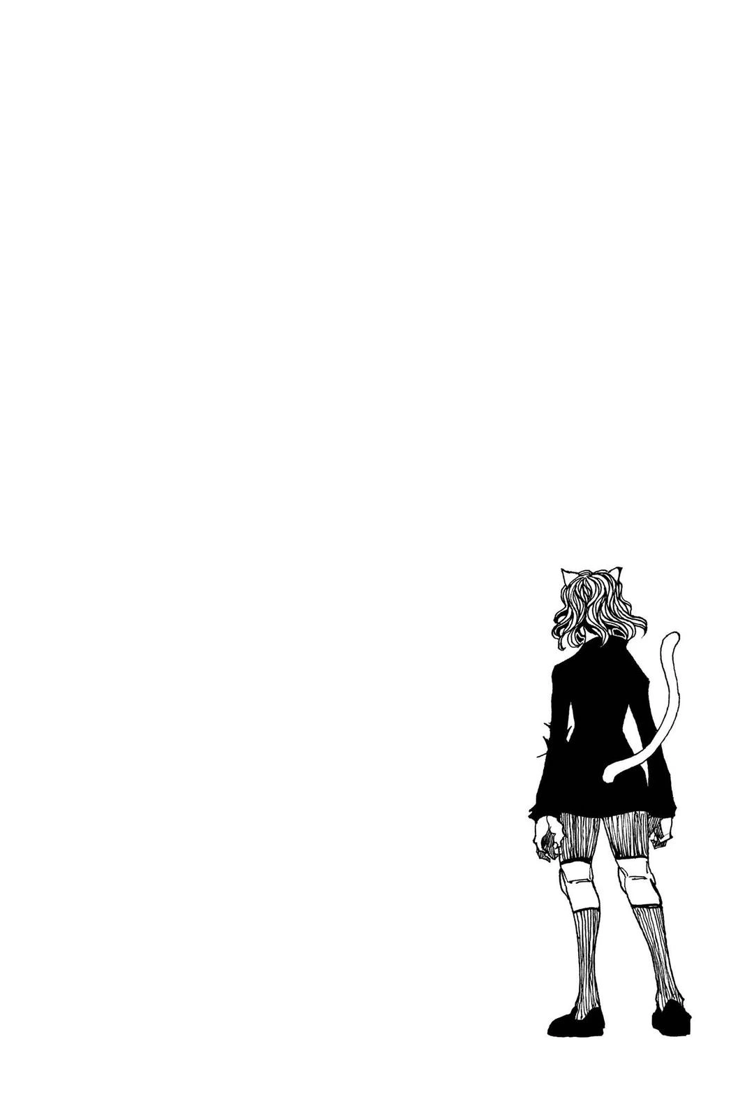 Hunter x Hunter Chapter 304 — page 18