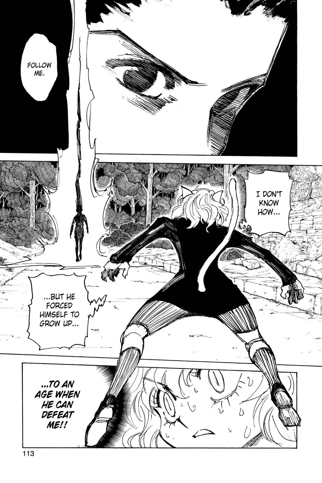 Hunter x Hunter Chapter 306 — page 6