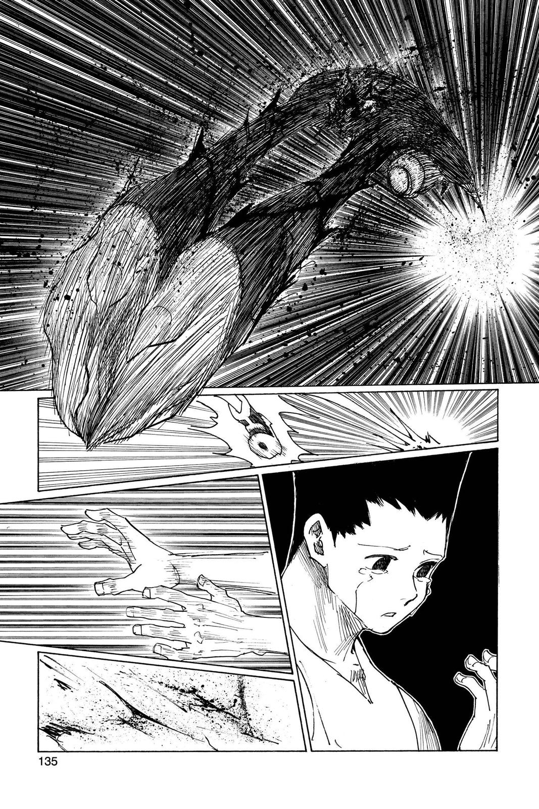Hunter x Hunter Chapter 307 — page 7