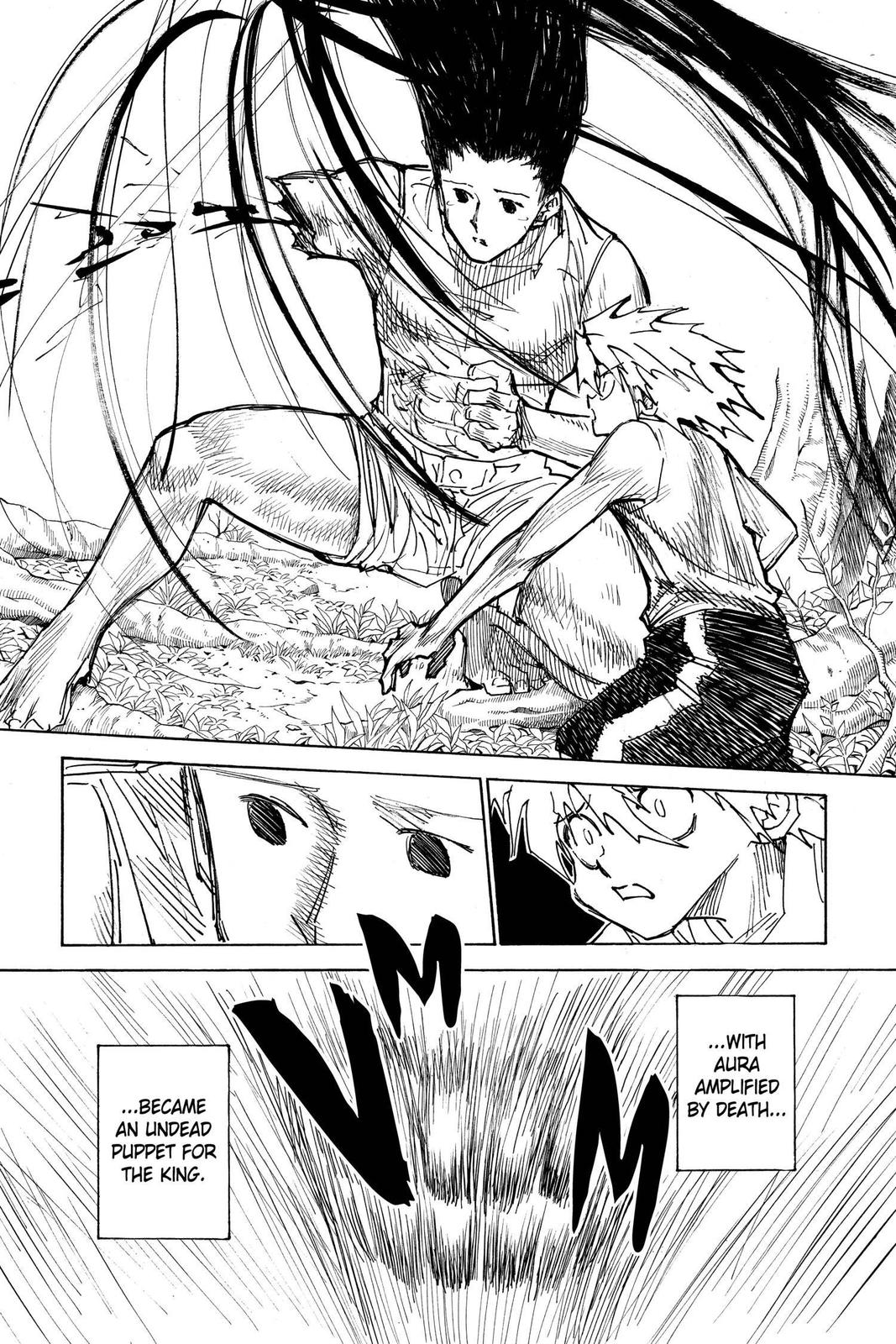 Hunter x Hunter Chapter 307 — page 9