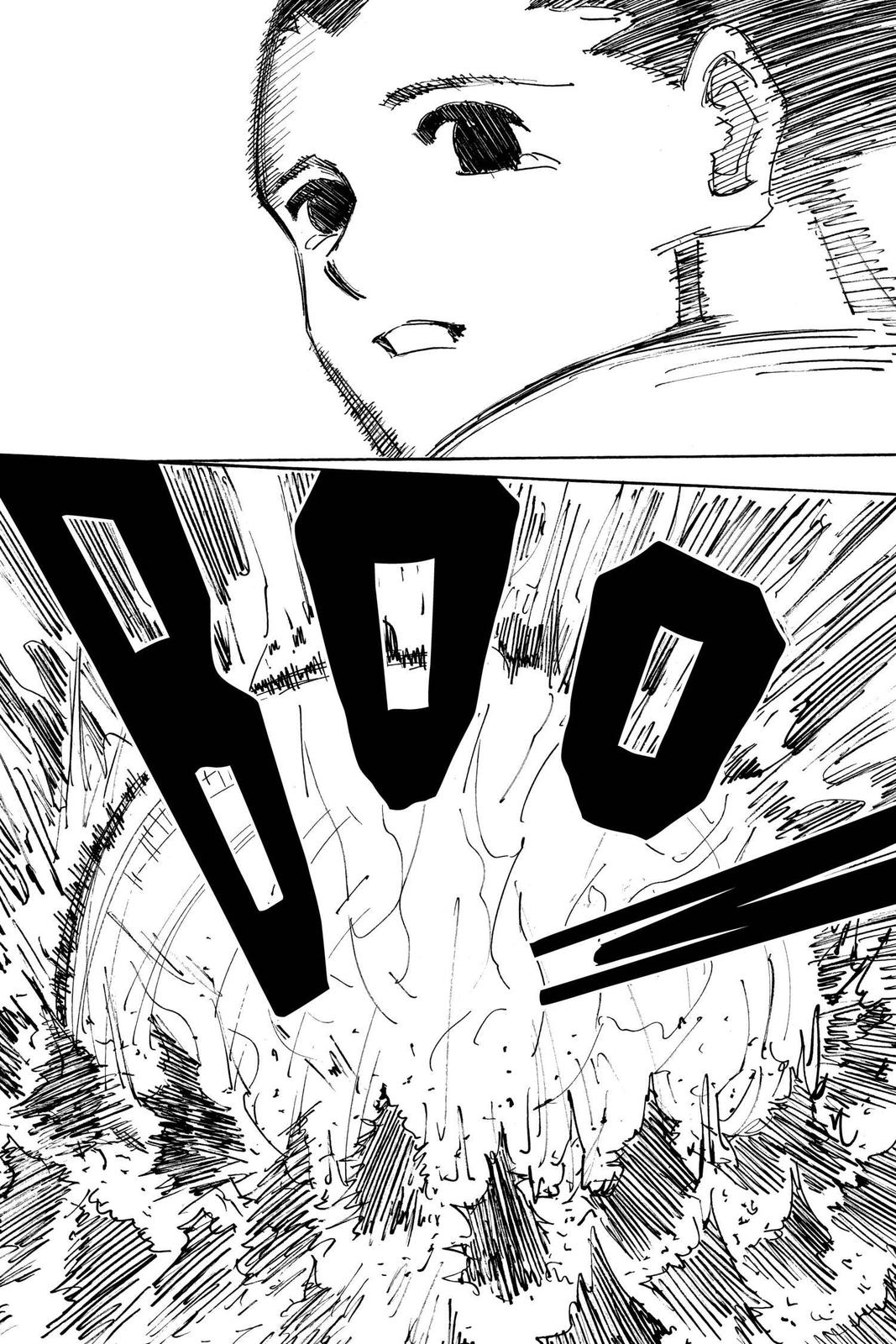 Hunter x Hunter Chapter 307 — page 17