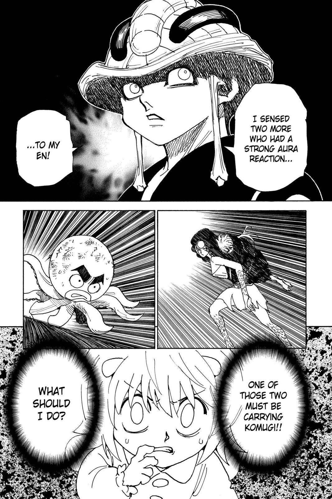 Hunter x Hunter Chapter 308 — page 17