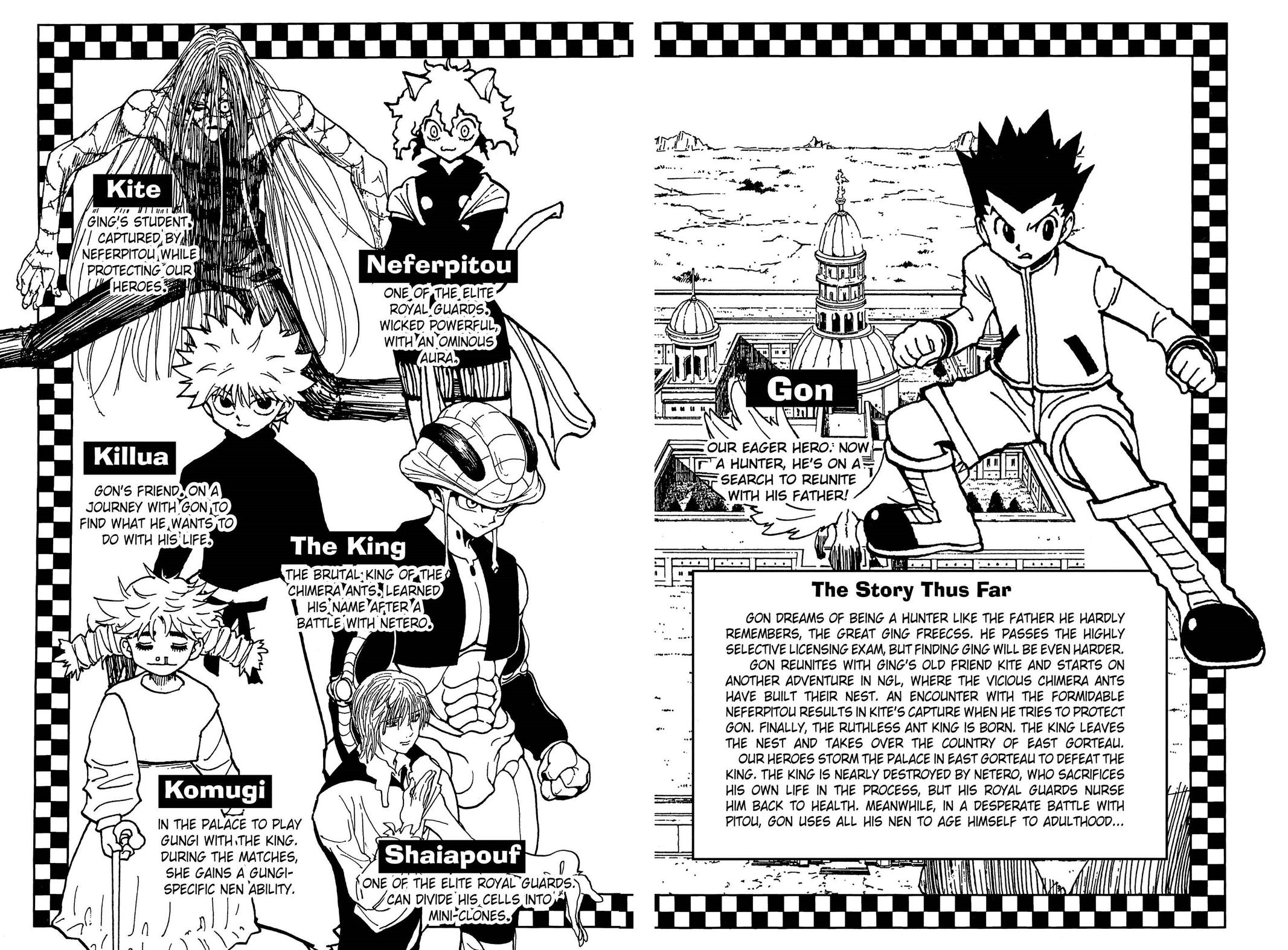 Hunter x Hunter Chapter 311 — page 5