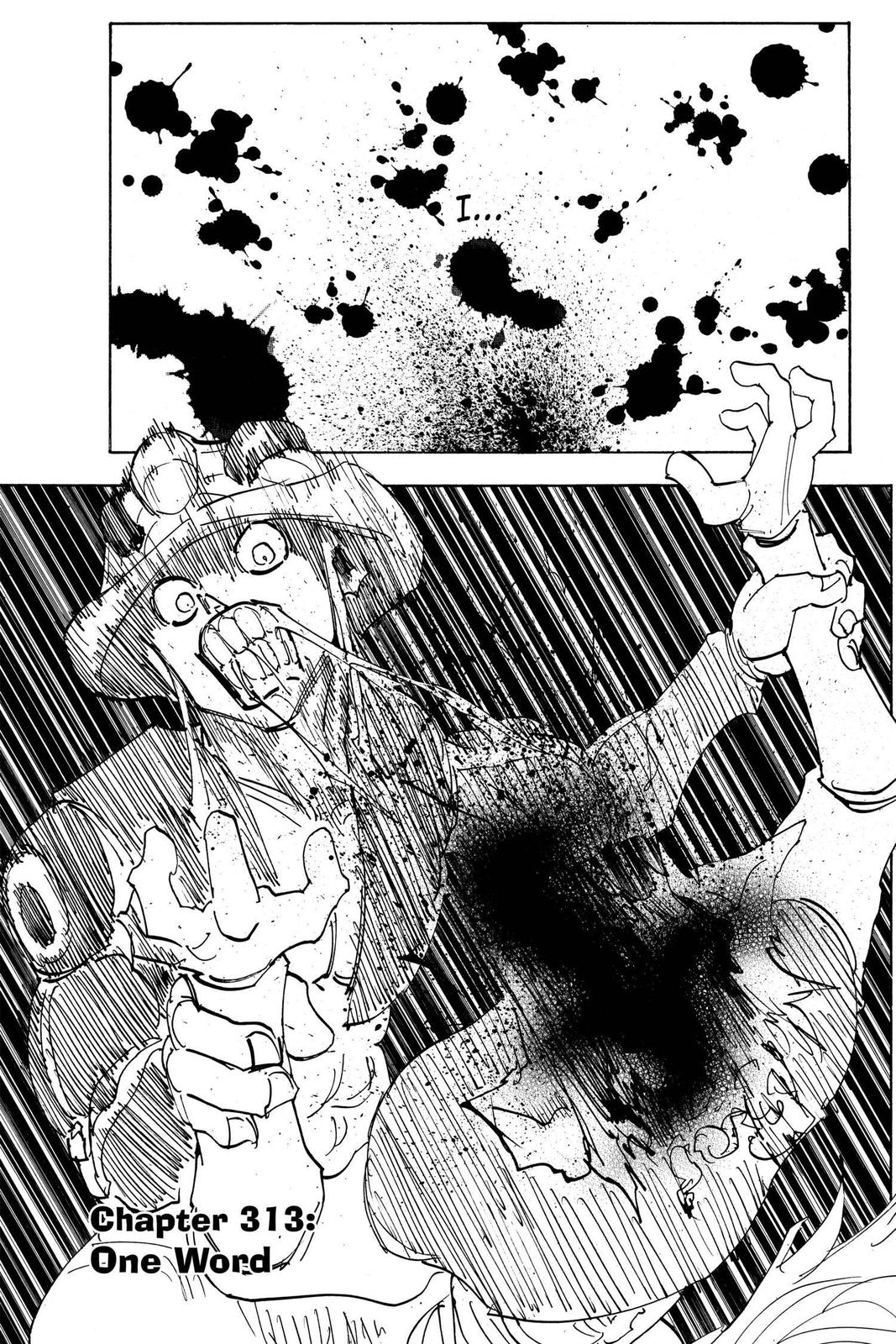 Hunter x Hunter Chapter 313 — page 1
