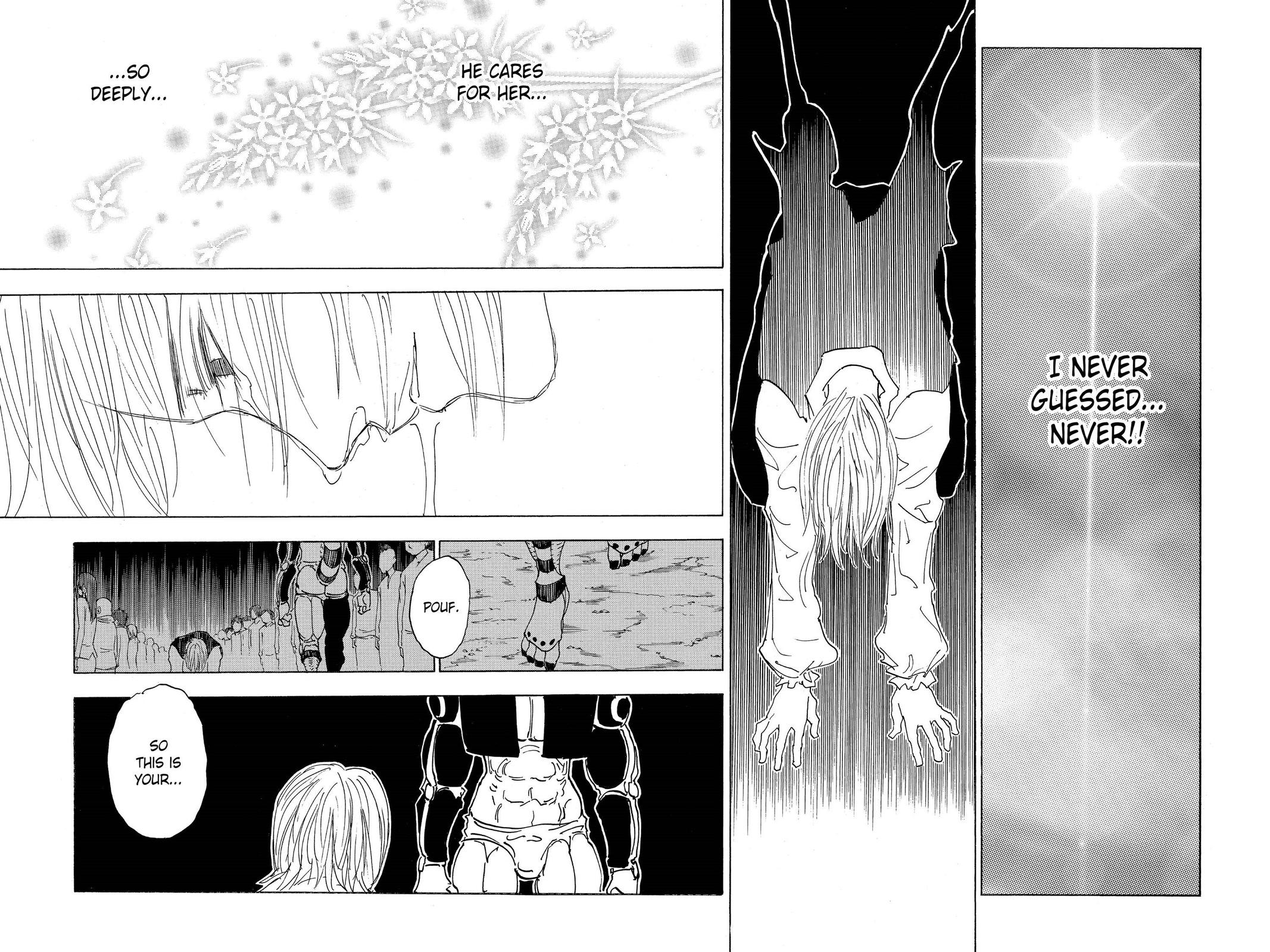Hunter x Hunter Chapter 313 — page 8