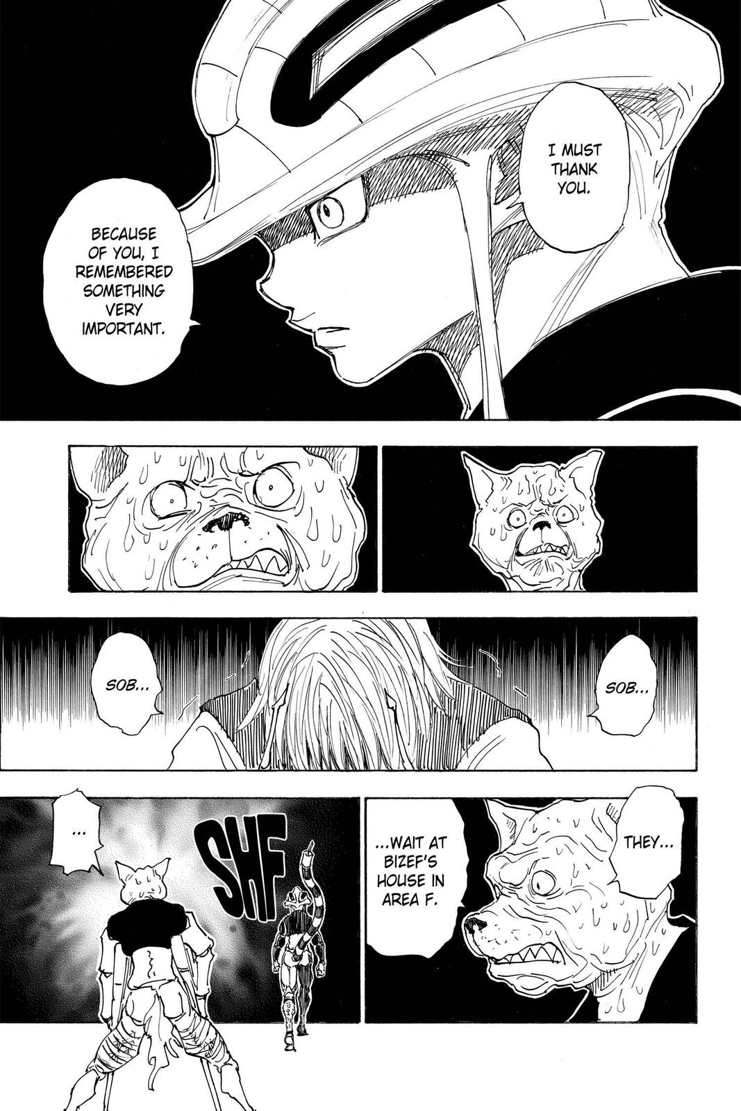 Hunter x Hunter Chapter 313 — page 12