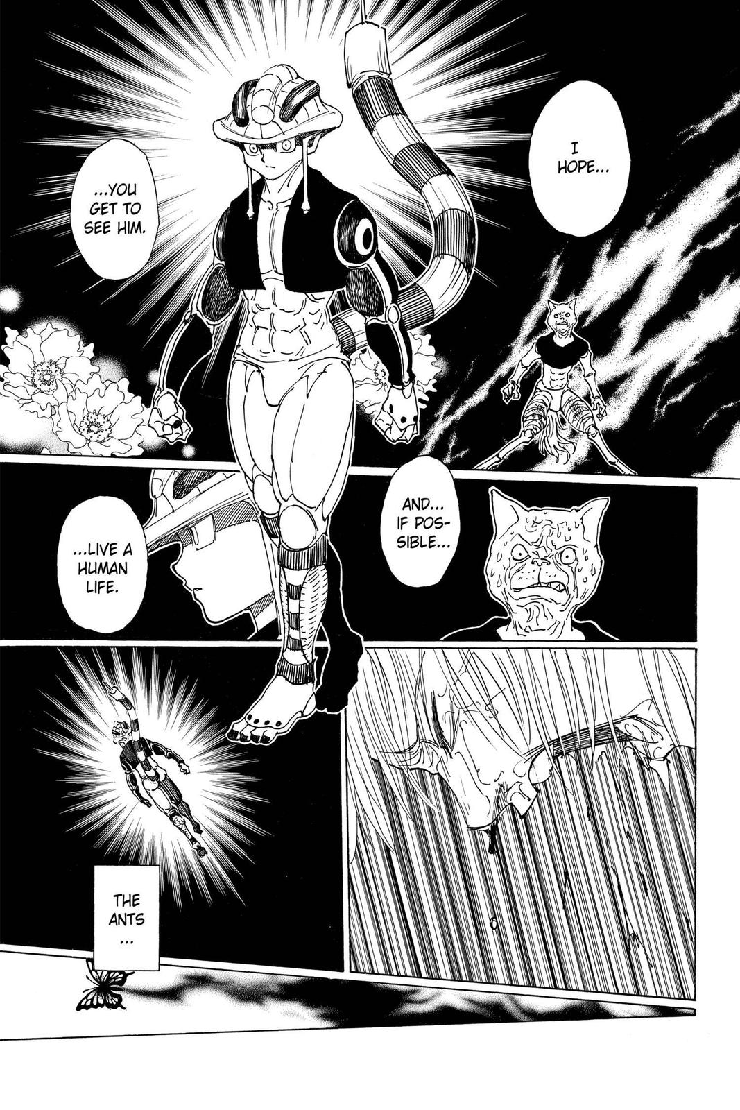 Hunter x Hunter Chapter 313 — page 14
