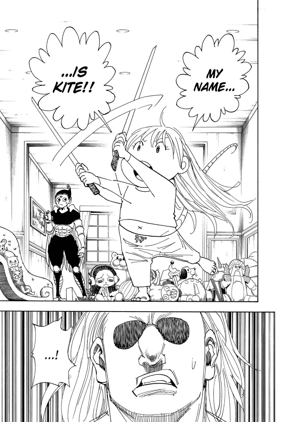 Hunter x Hunter Chapter 316 — page 17
