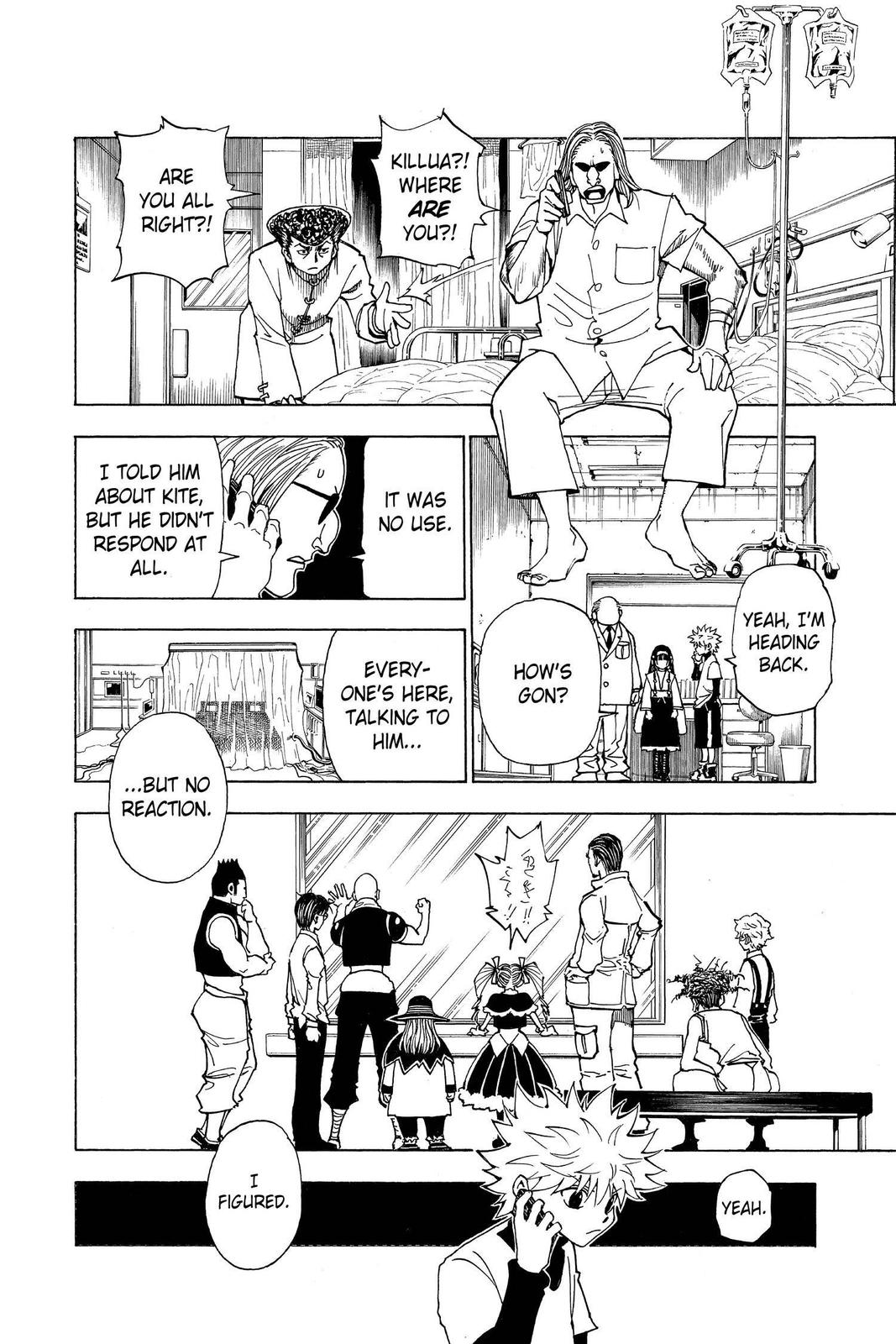 Hunter x Hunter Chapter 324 — page 10