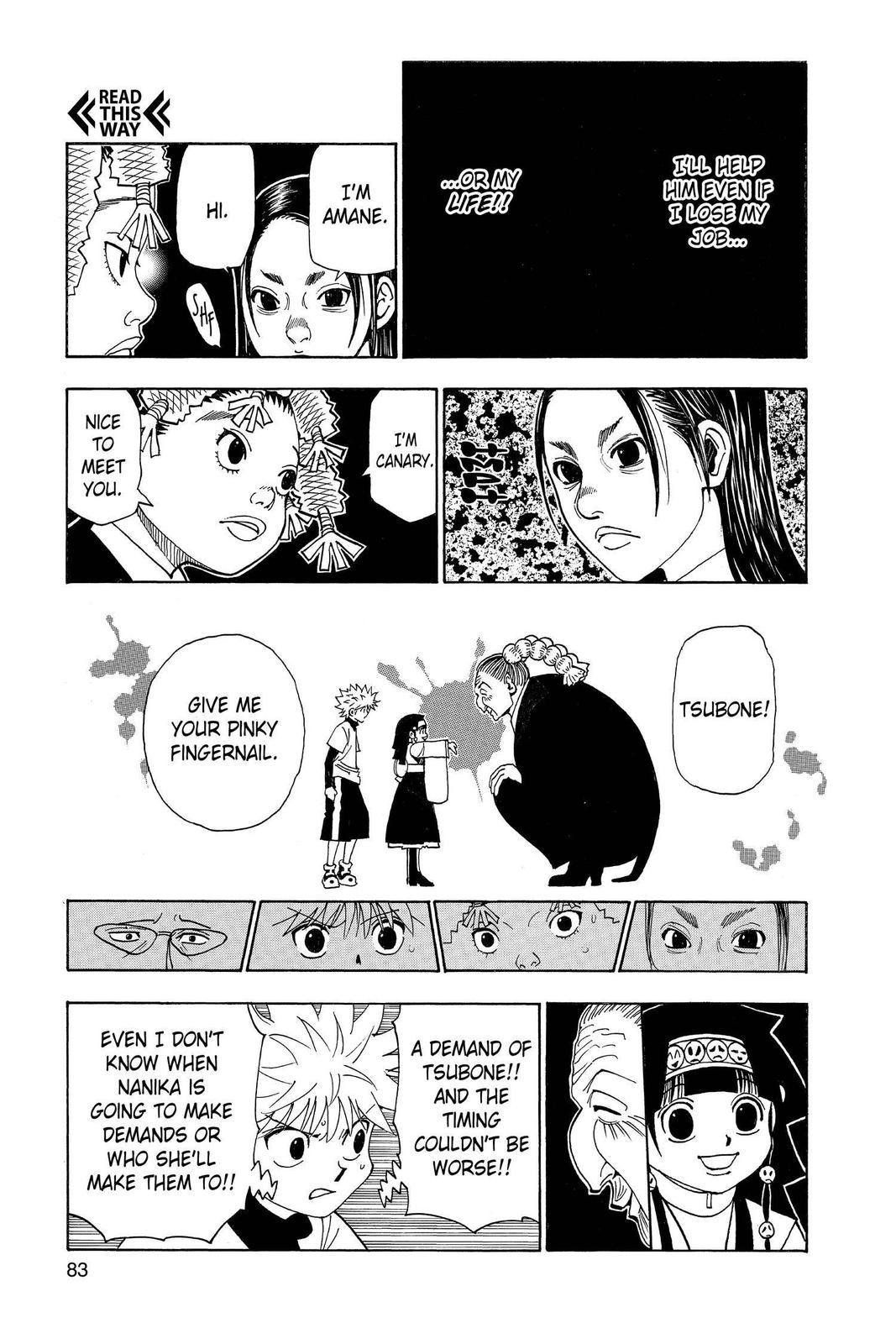 Hunter x Hunter Chapter 324 — page 17