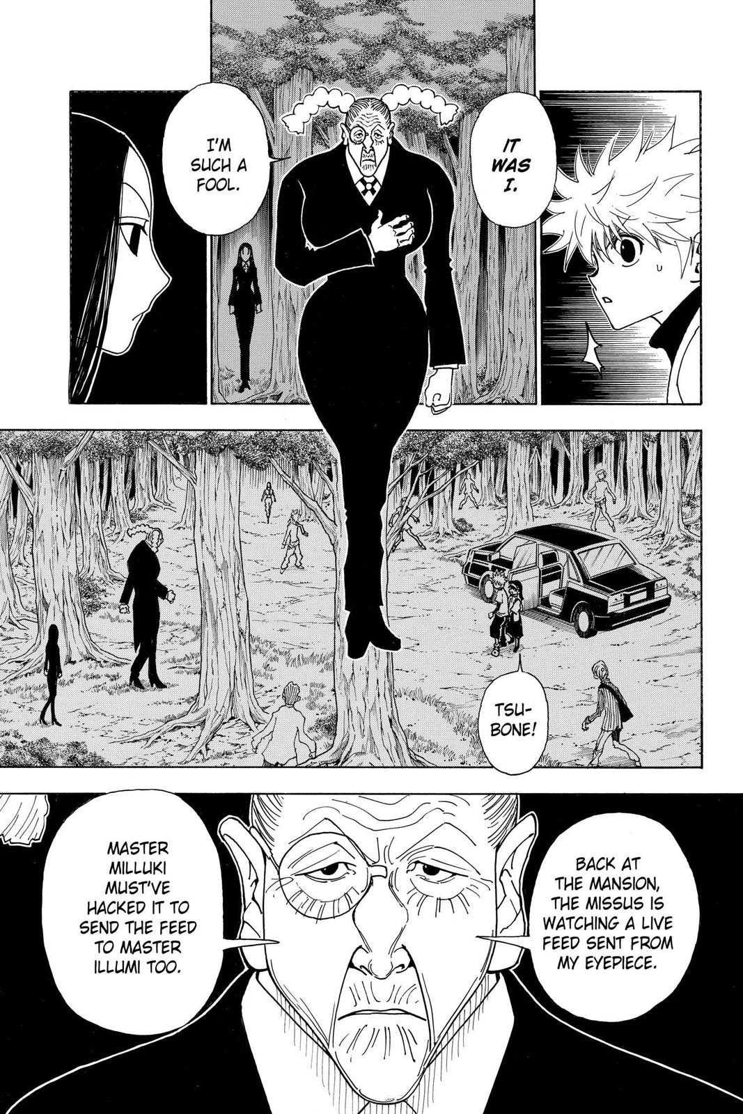 Hunter x Hunter Chapter 330 — page 4