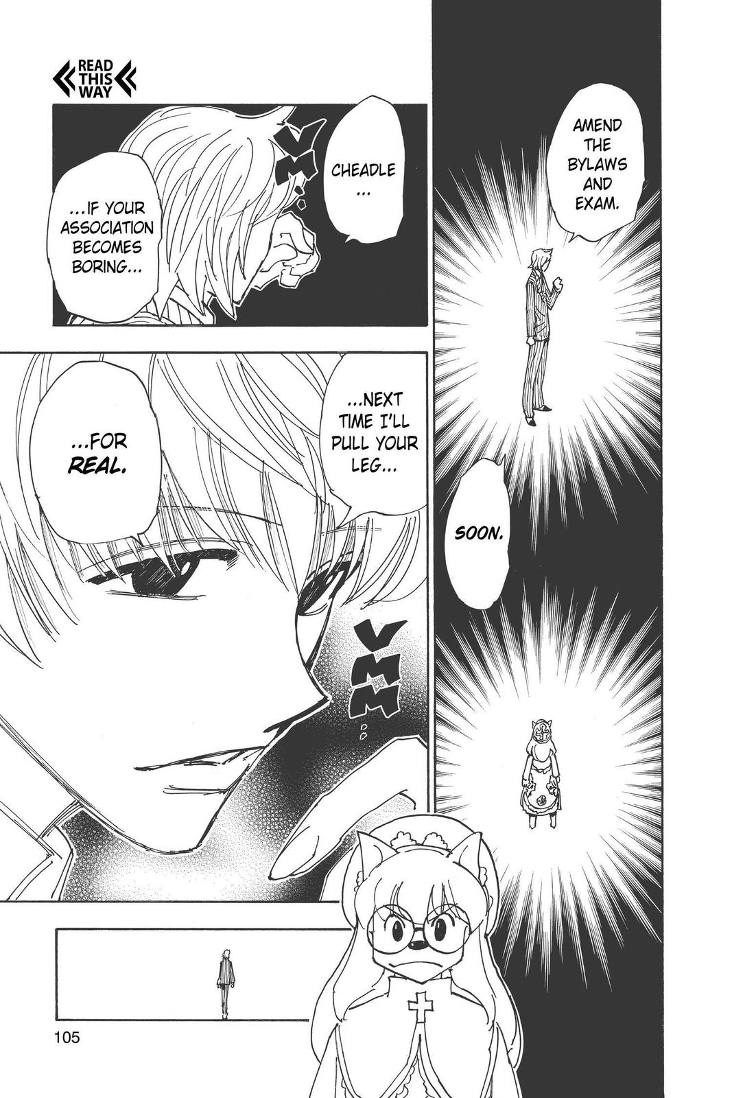 Hunter x Hunter Chapter 335 — page 17