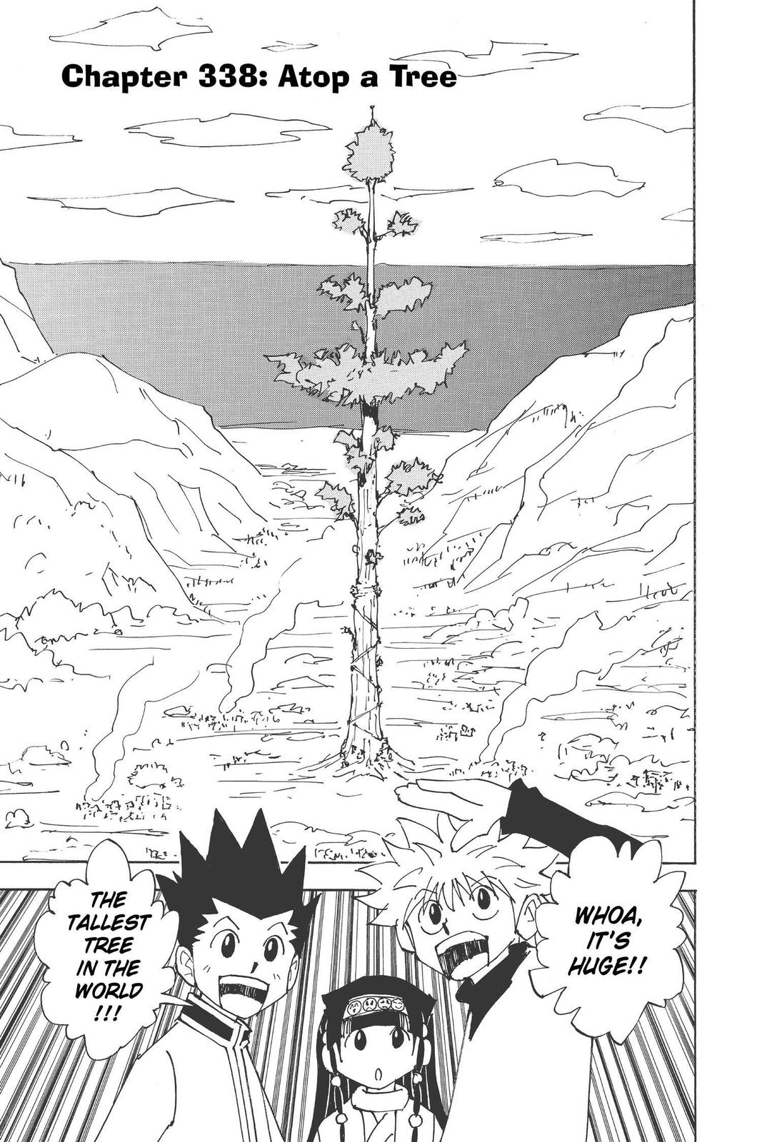 Hunter x Hunter Chapter 338 — page 1