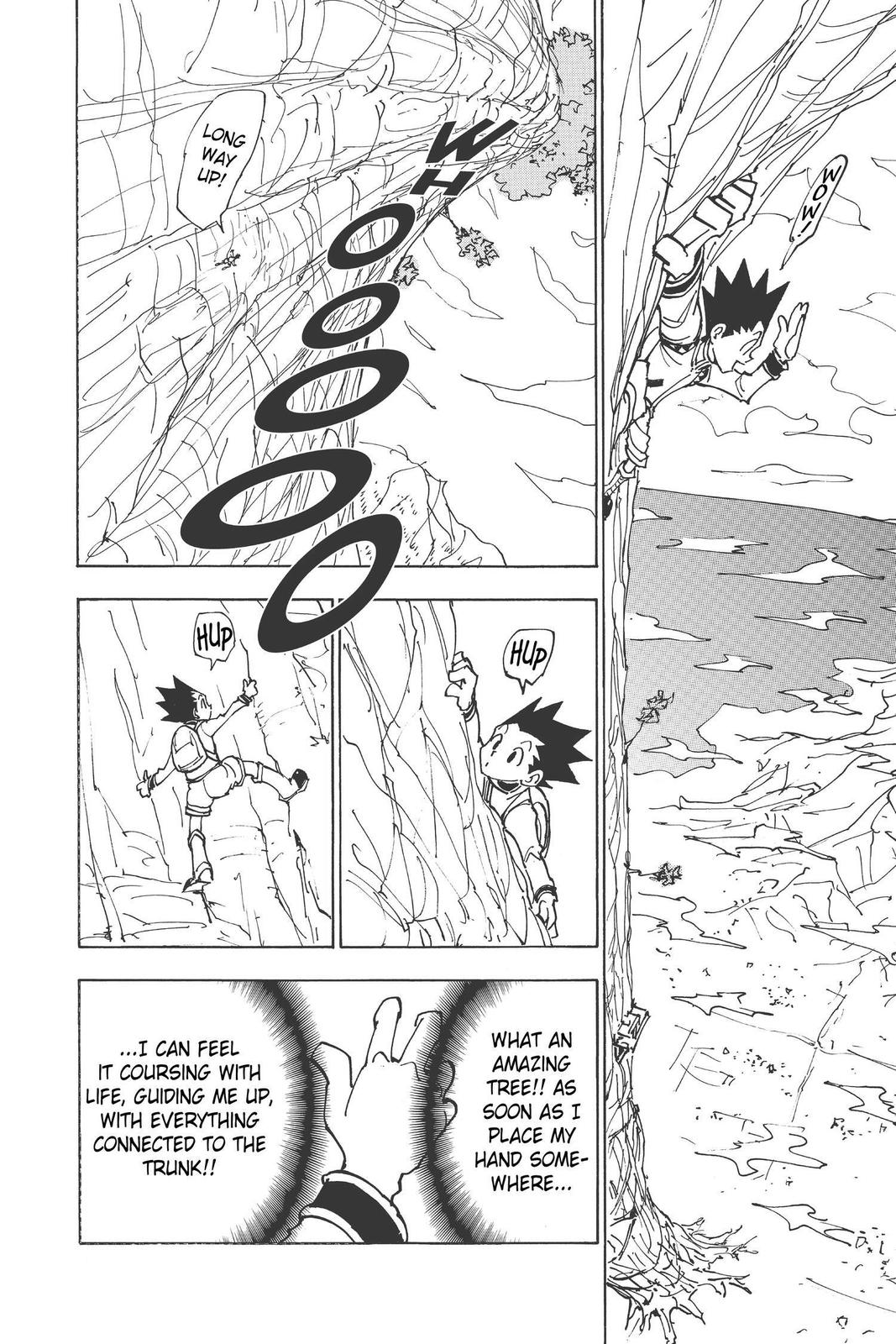 Hunter x Hunter Chapter 338 — page 8