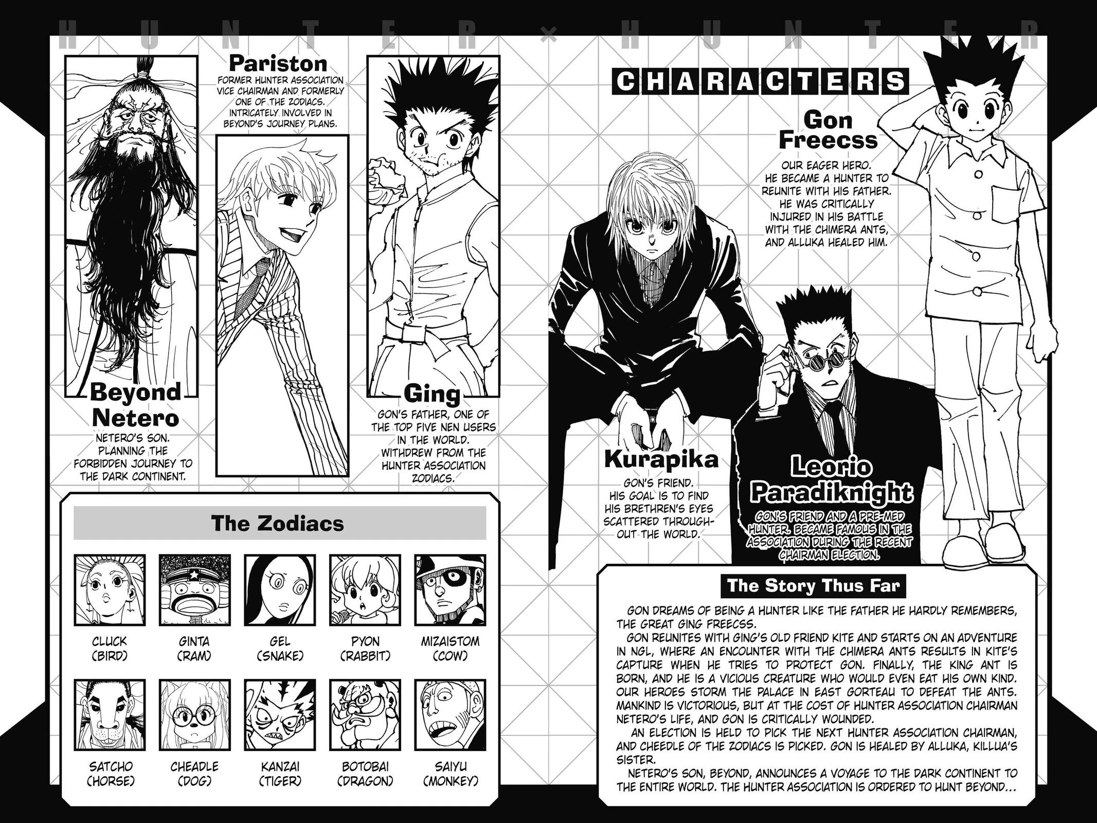 Hunter x Hunter Chapter 341 — page 5