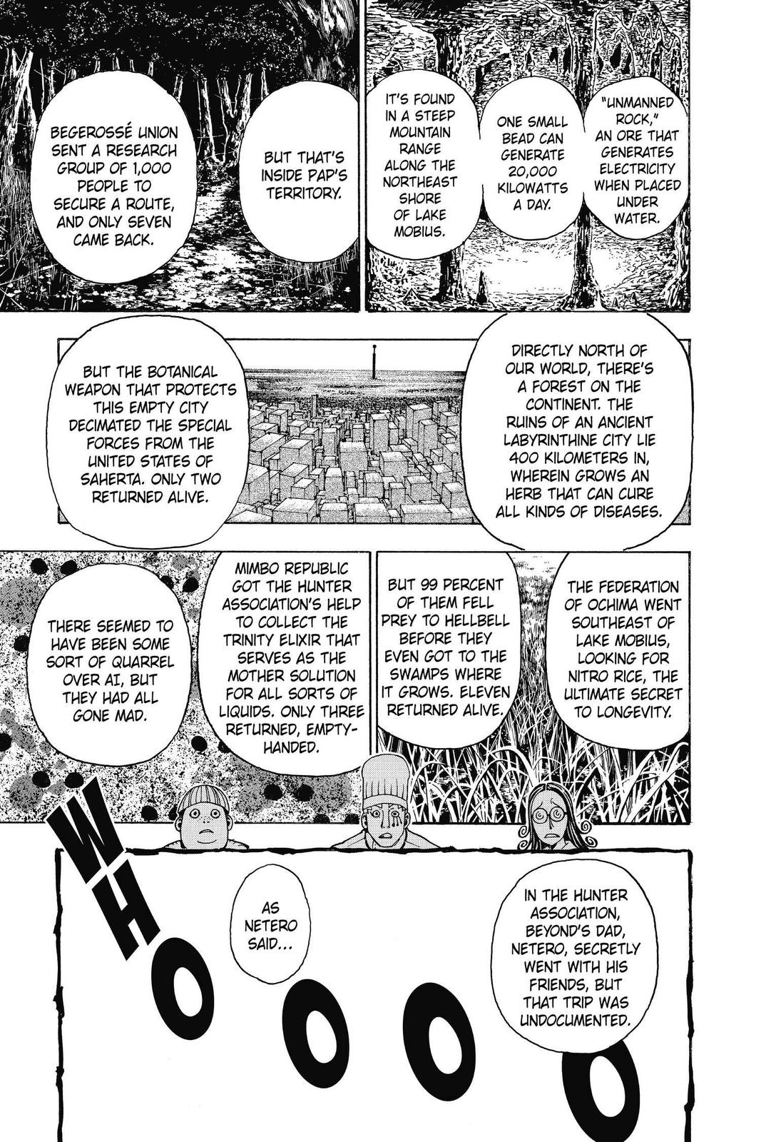 Hunter x Hunter Chapter 344 — page 12