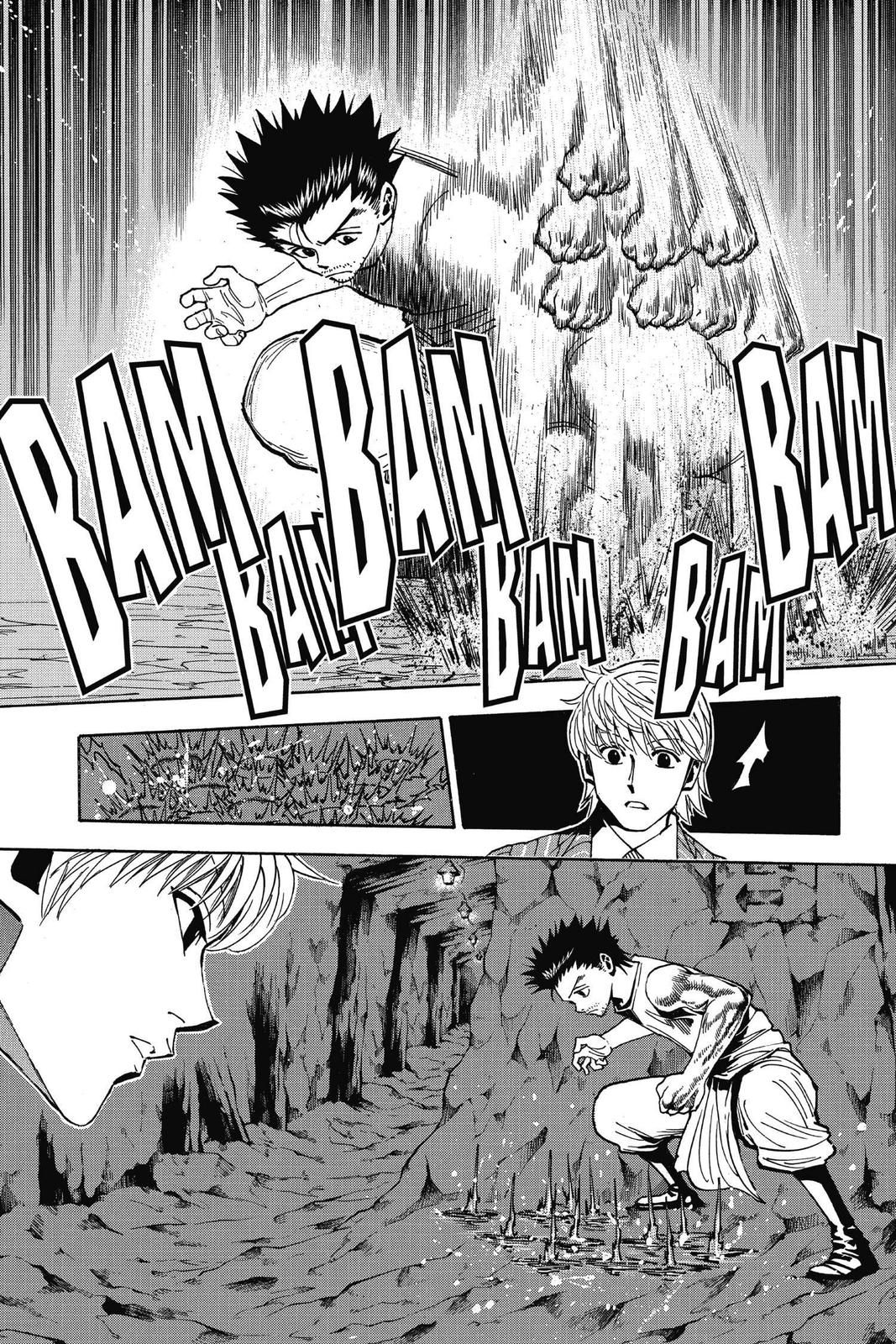 Hunter x Hunter Chapter 347 — page 5