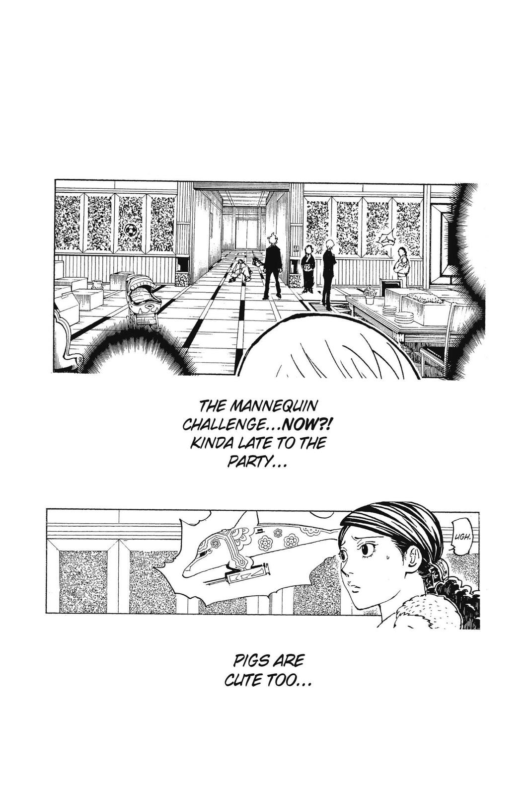 Hunter x Hunter Chapter 367 — page 20