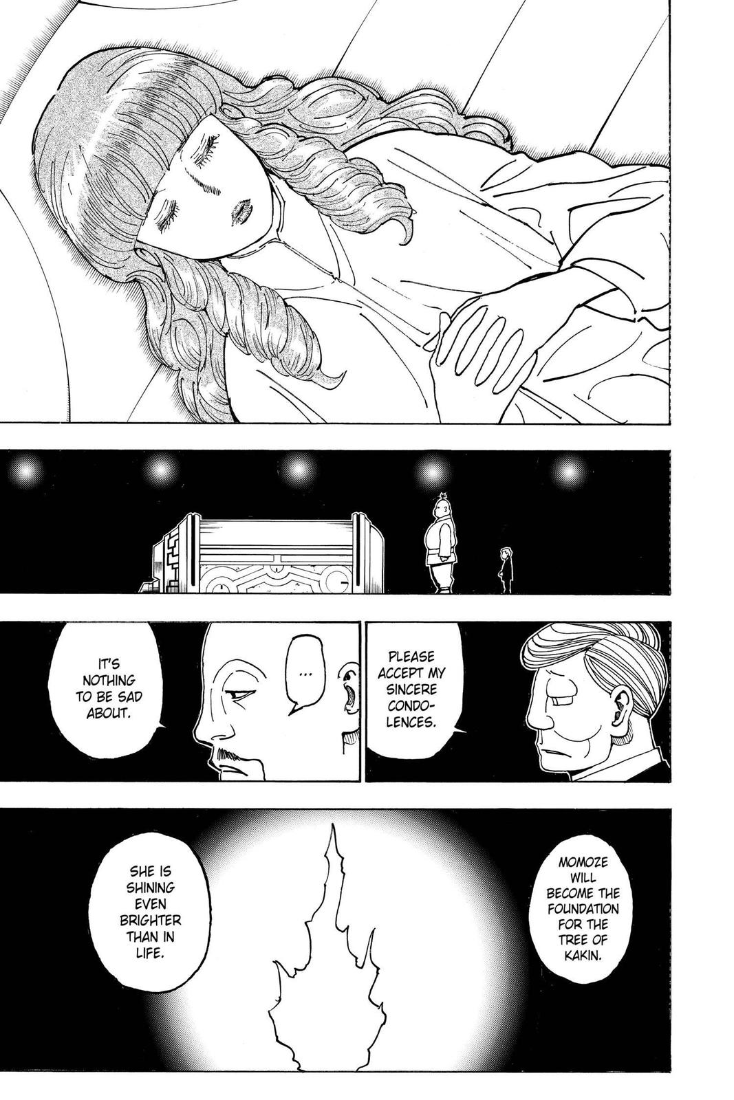 Hunter x Hunter Chapter 371 — page 25