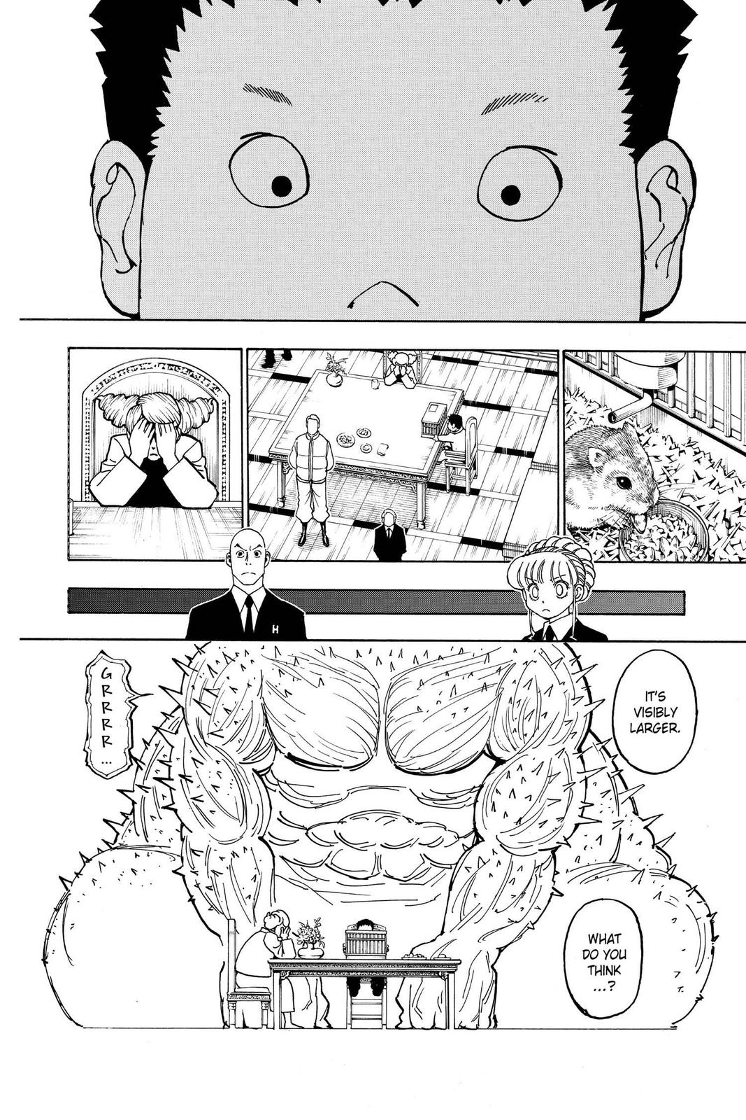 Hunter x Hunter Chapter 372 — page 4