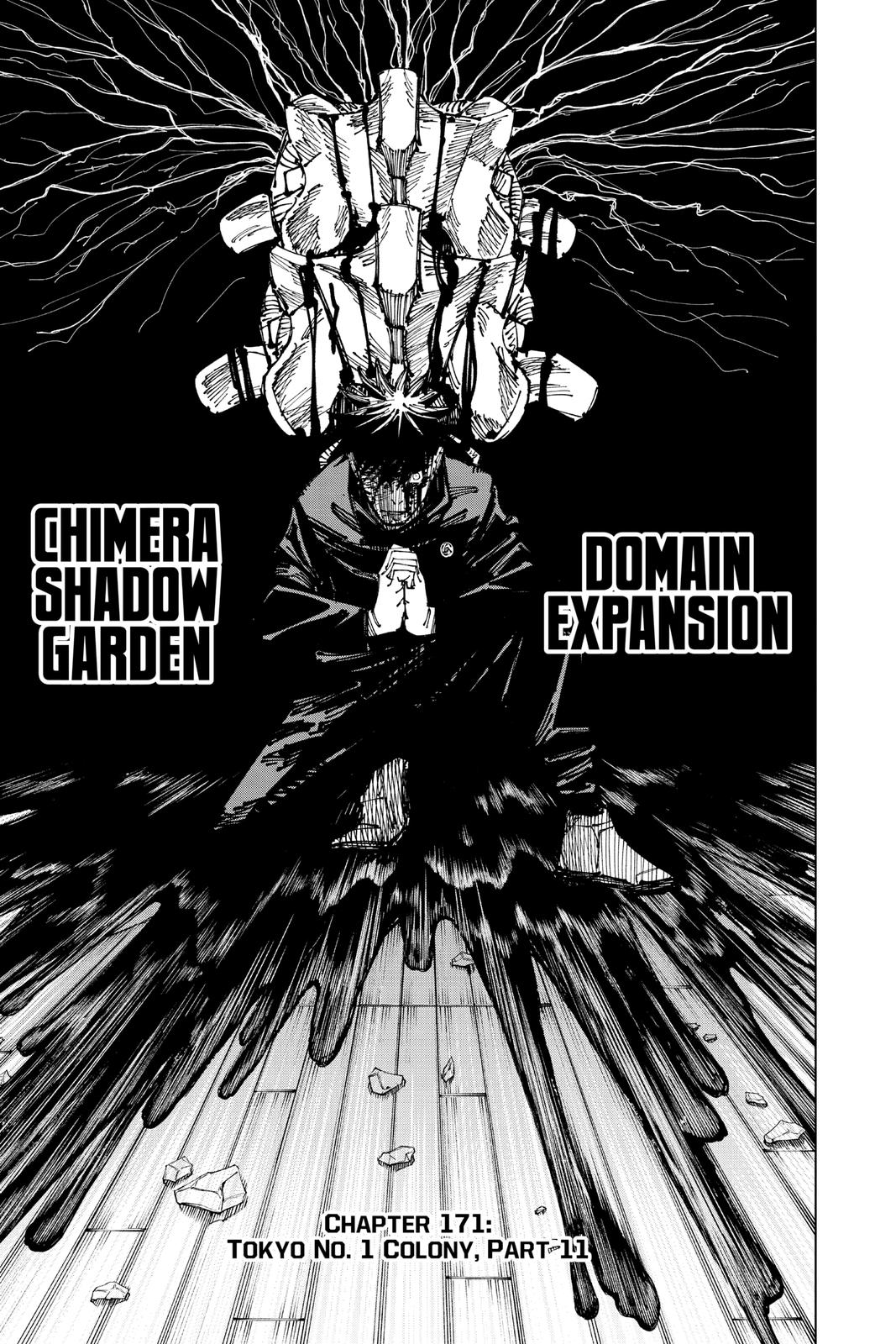 Jujutsu Kaisen Chapter 171 — page 1