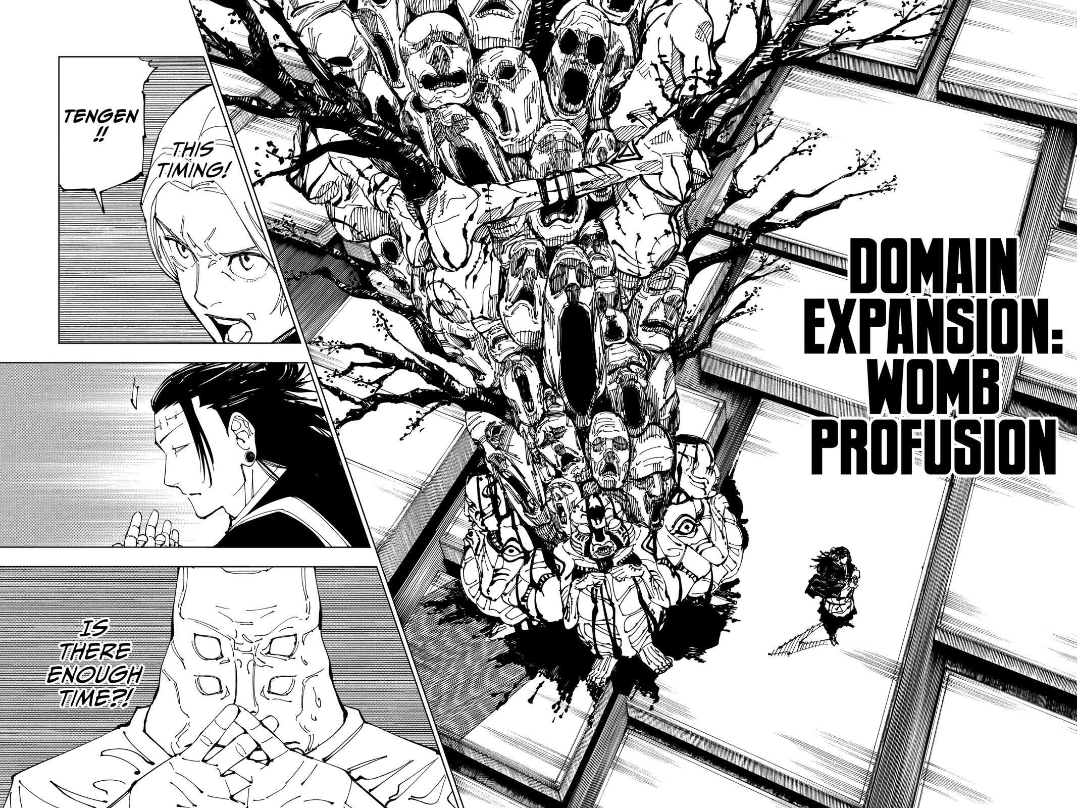 Jujutsu Kaisen Chapter 205 — page 16