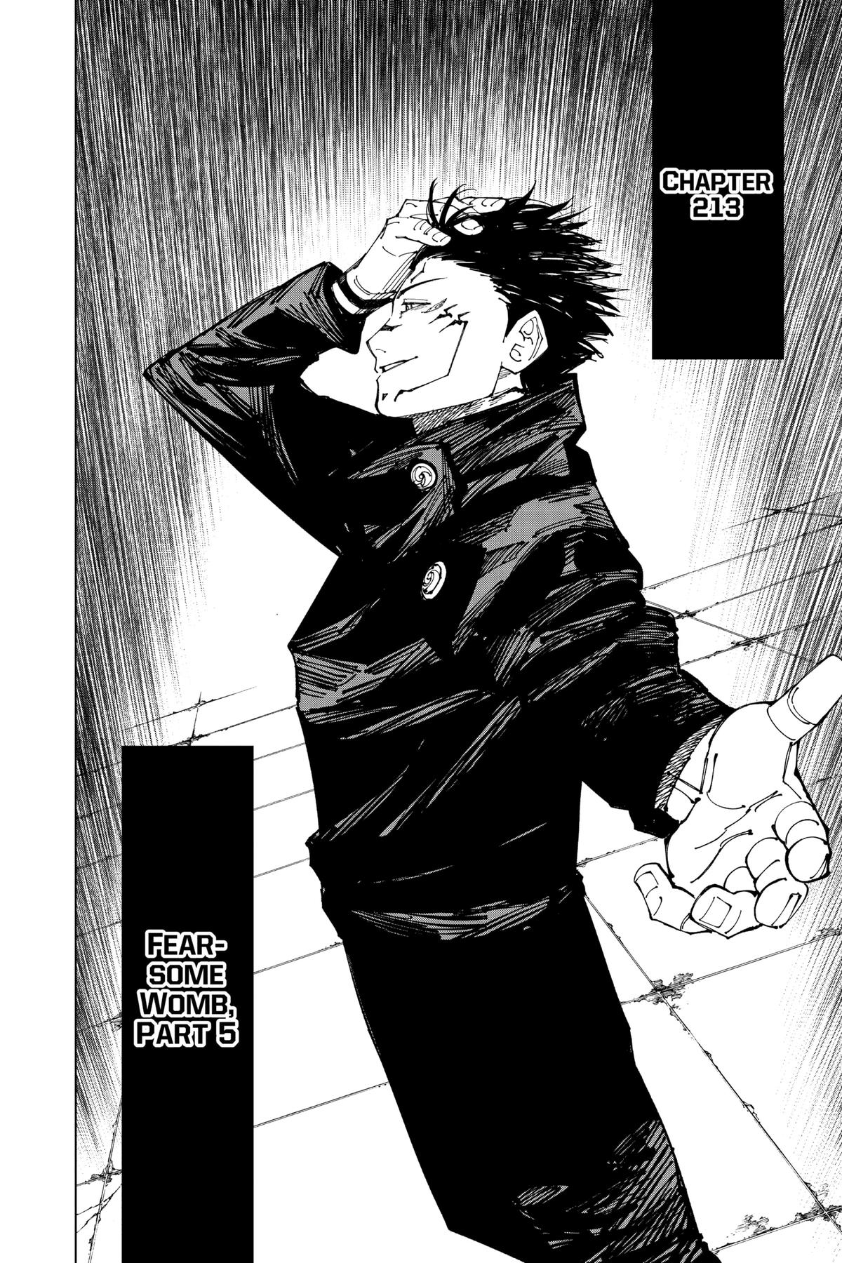 Jujutsu Kaisen Chapter 213 — page 2