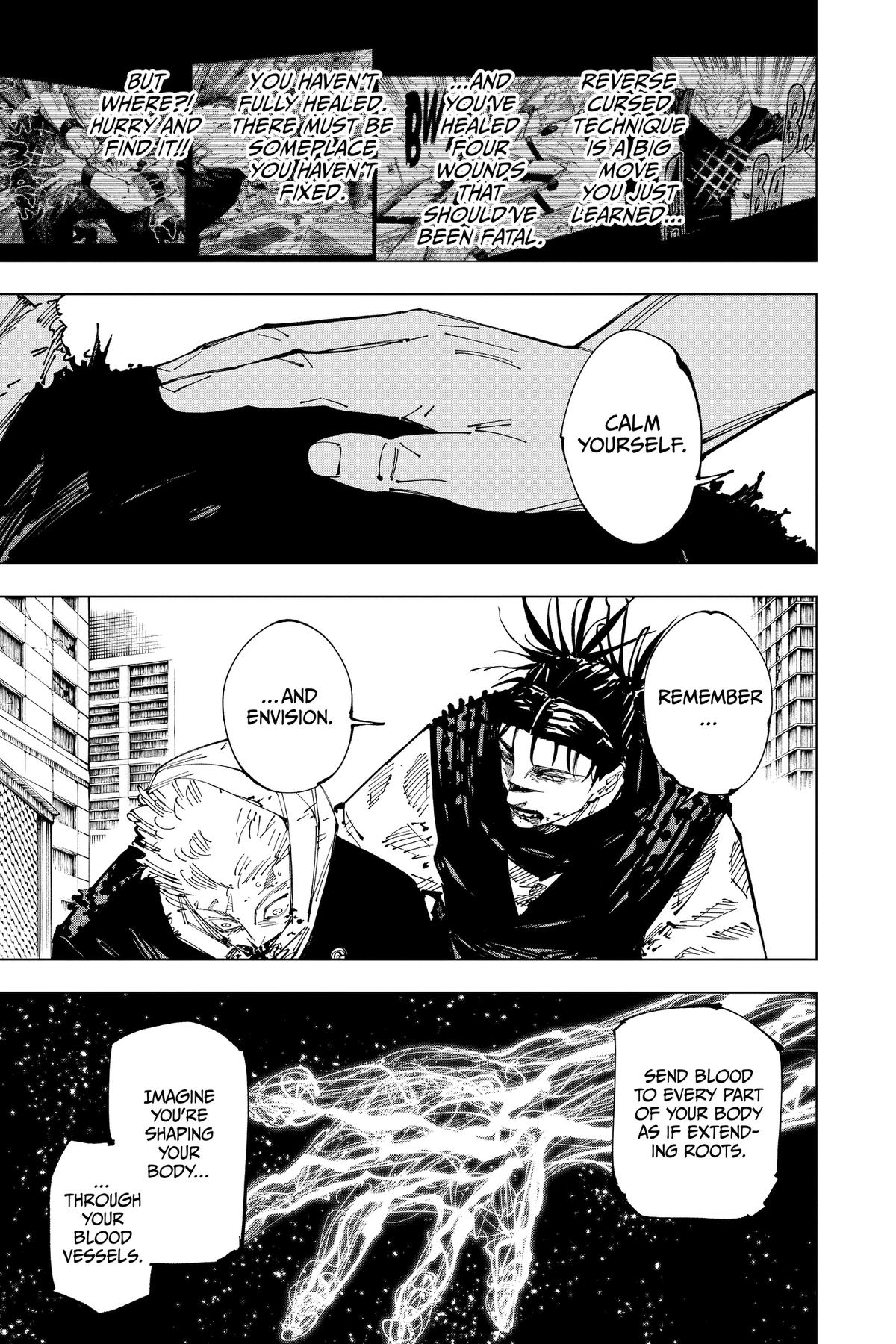 Jujutsu Kaisen Chapter 252 — page 10