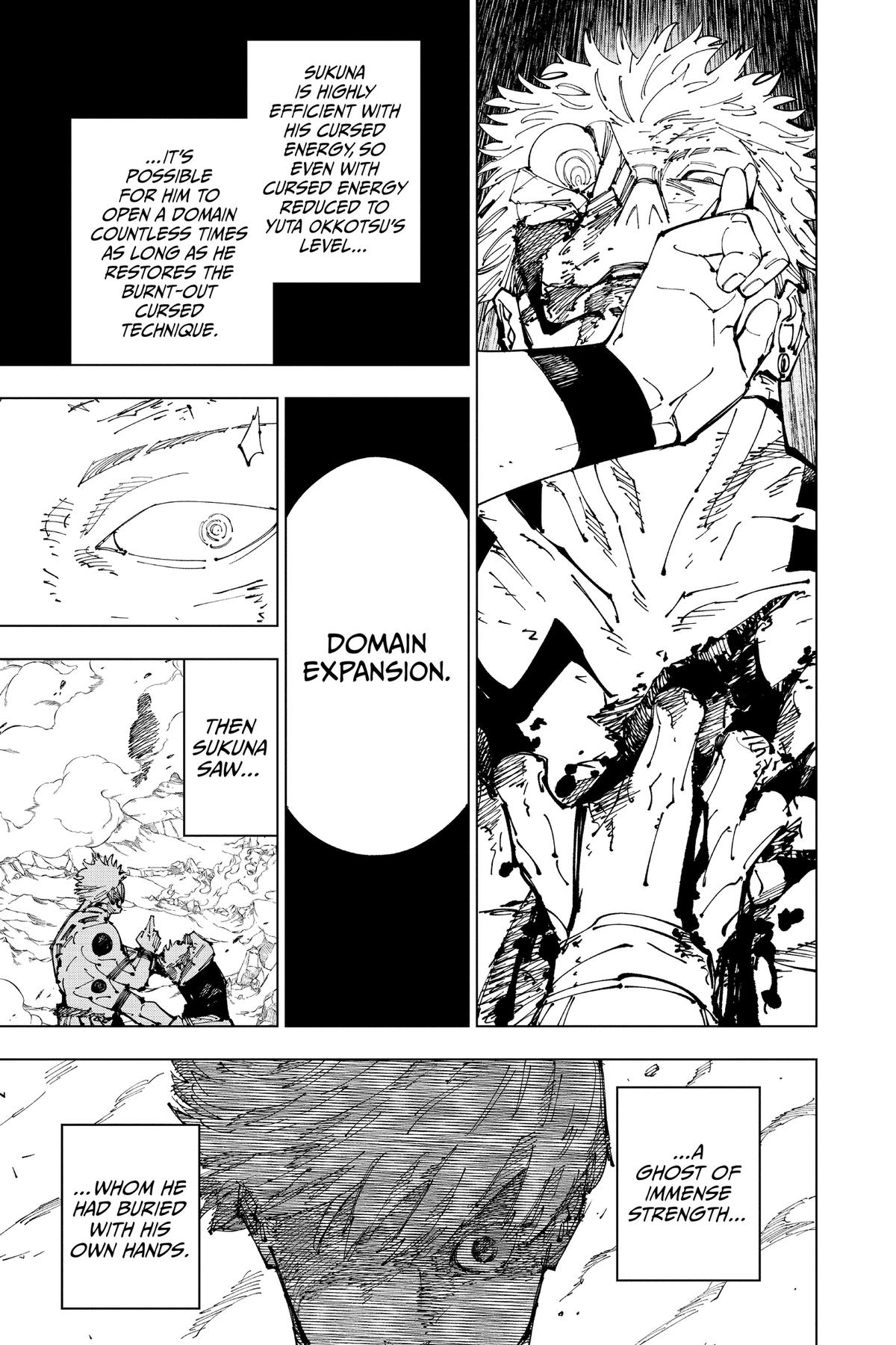 Jujutsu Kaisen Chapter 260 — page 17