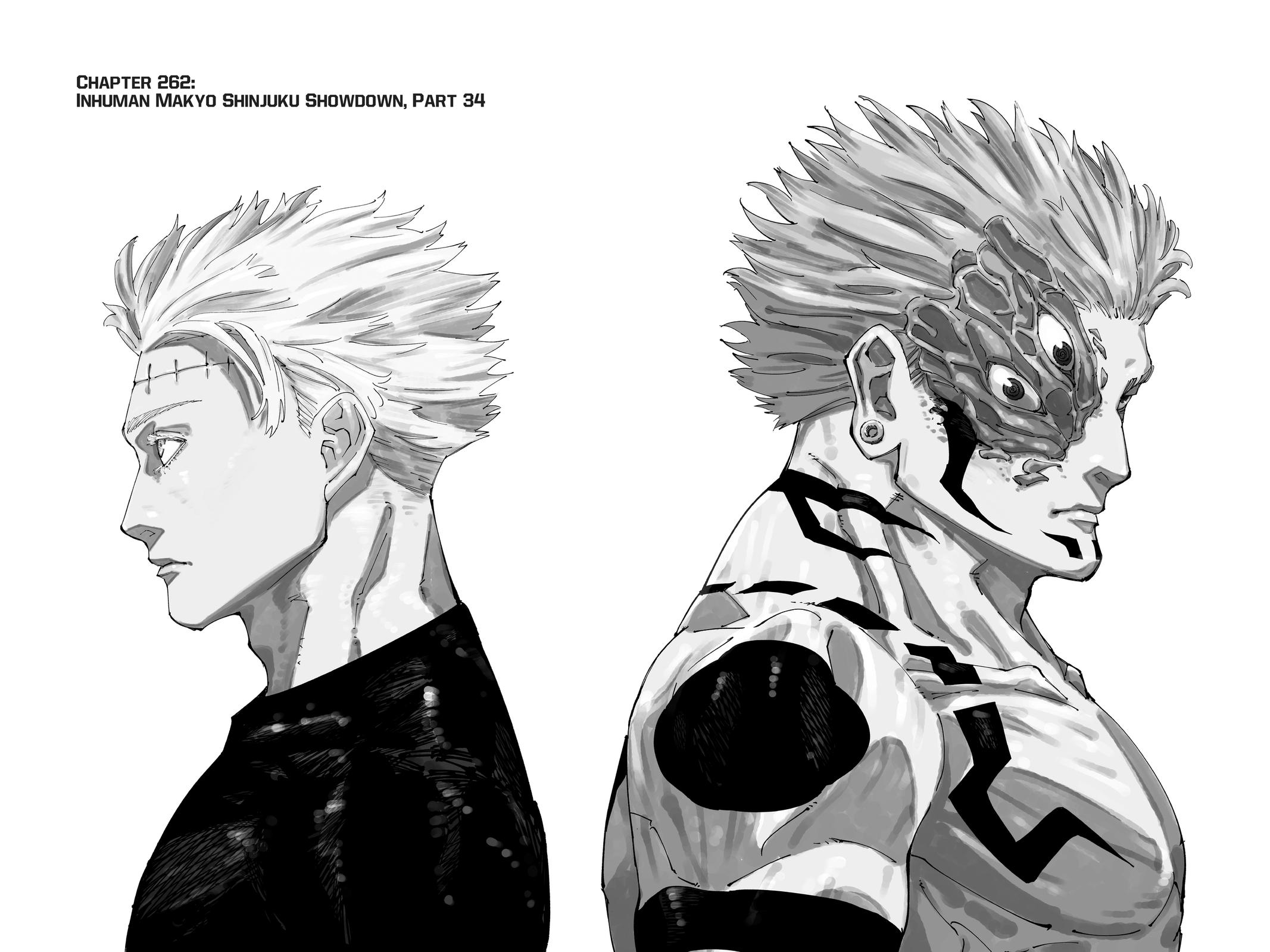 Jujutsu Kaisen Chapter 261 — page 17