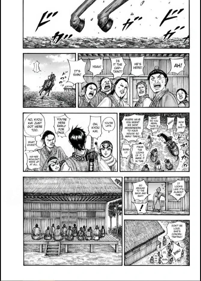 Kingdom Chapter 846 — page 13