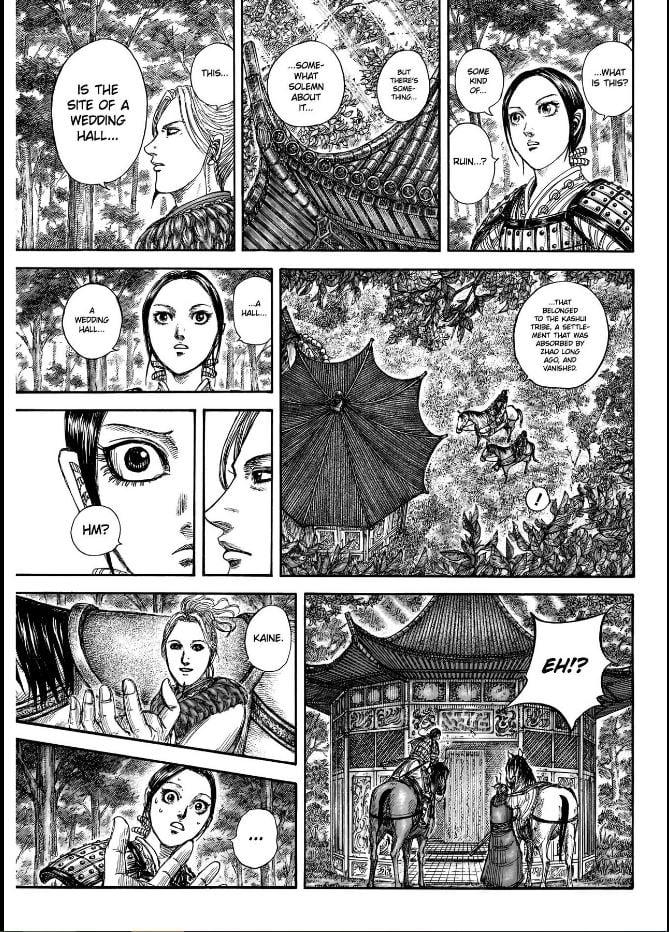 Kingdom Chapter 849 — page 17