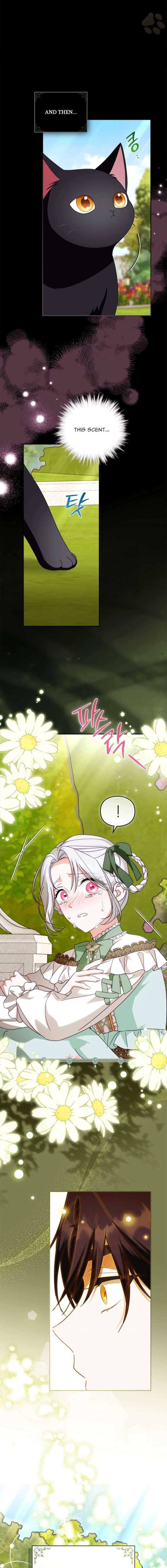 Looking for the Duchess’s Husband Chapter 8 — page 18