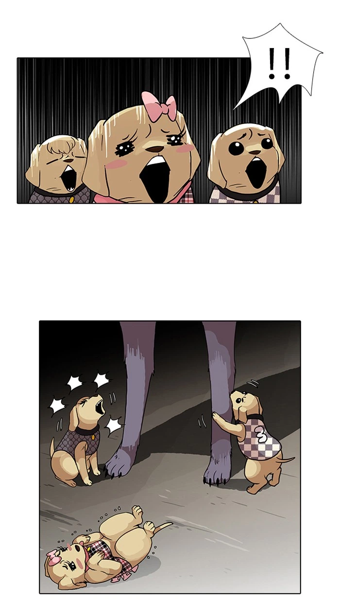 Lookism Chapter 69 — page 36