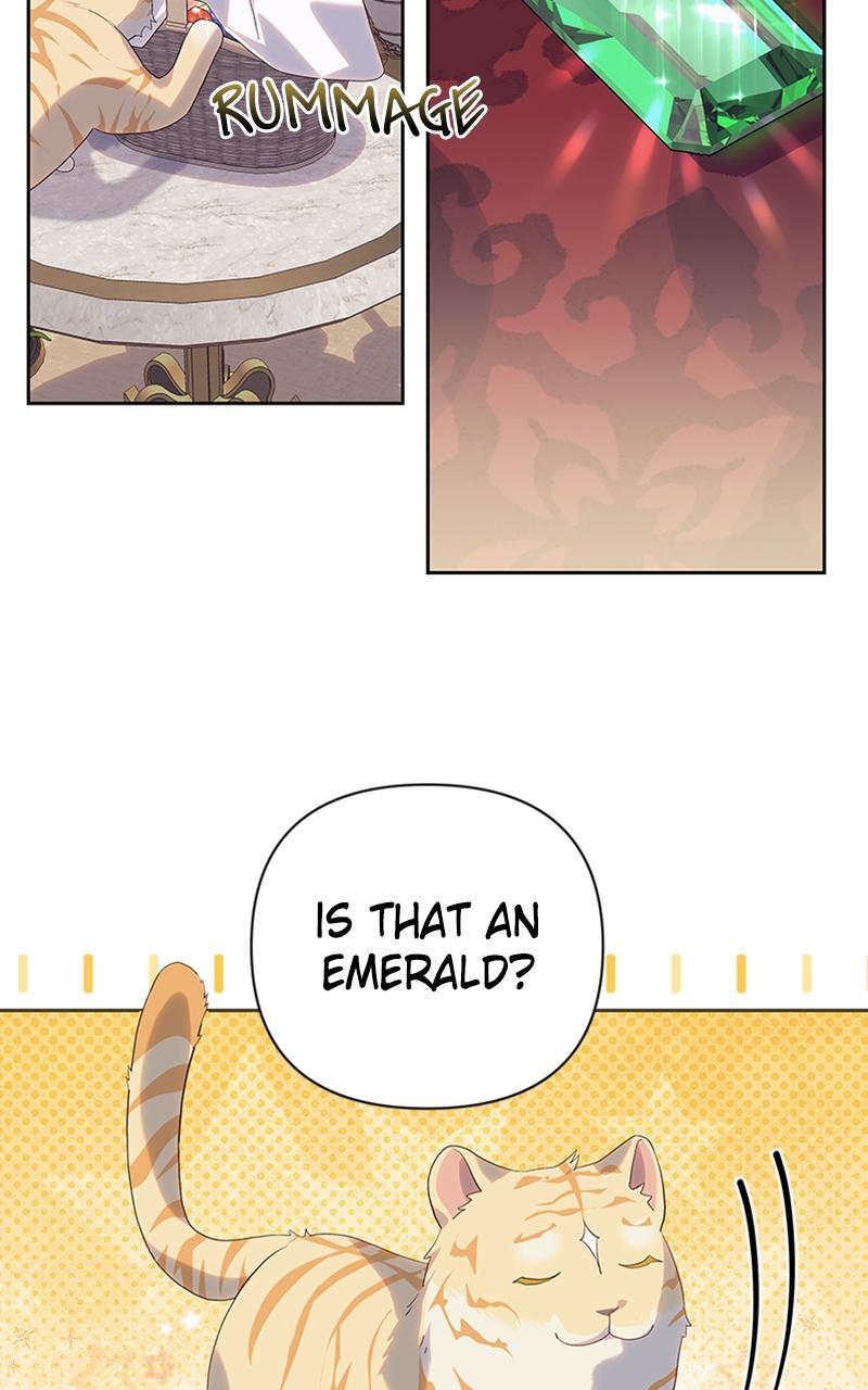 Monster Princess of the Snowy Mountain Chapter 25 — page 25