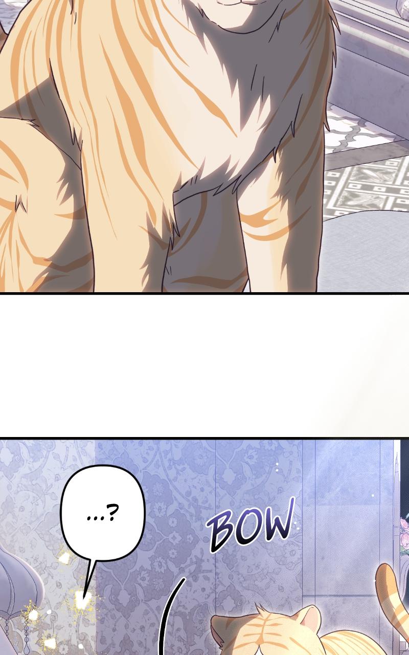 Monster Princess of the Snowy Mountain Chapter 34 — page 66