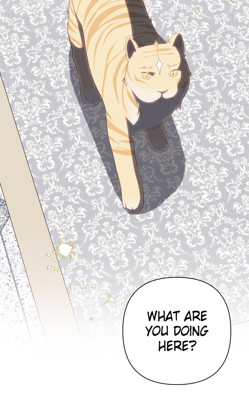 Monster Princess of the Snowy Mountain Chapter 48 — page 5