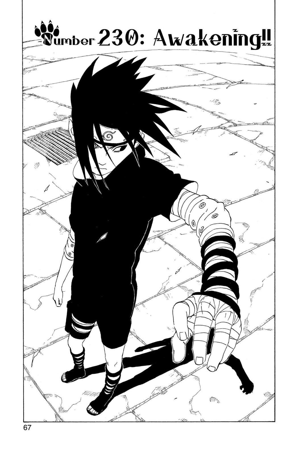 Naruto Chapter 230 — page 1