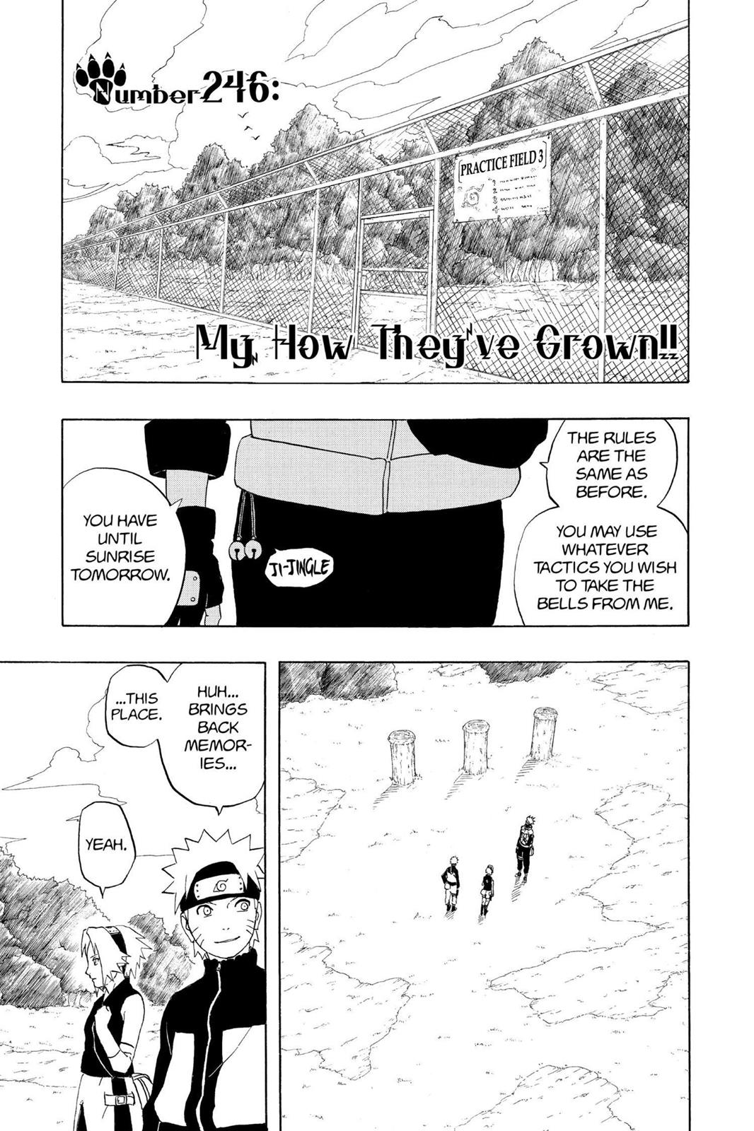 Naruto Chapter 246 — page 1