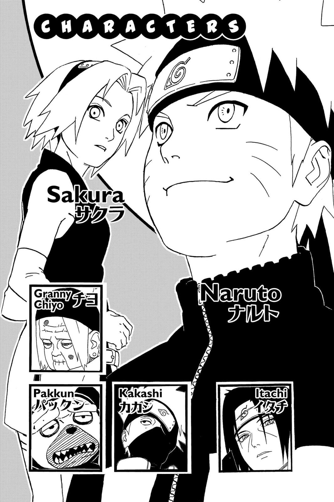 Naruto Chapter 254 — page 5