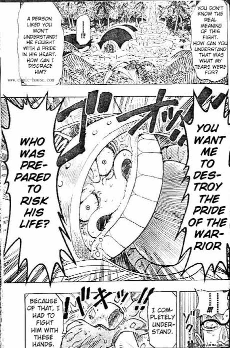 One Piece Chapter 121 — page 17