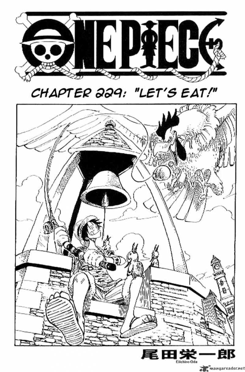 One Piece Chapter 229 — page 1