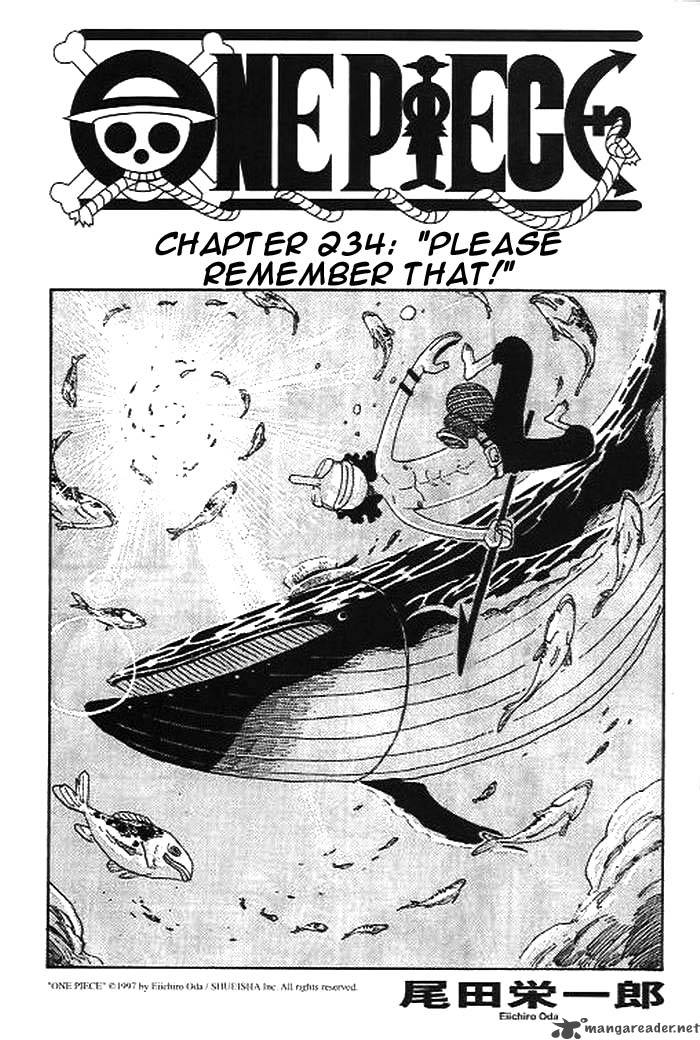 One Piece Chapter 234 — page 1
