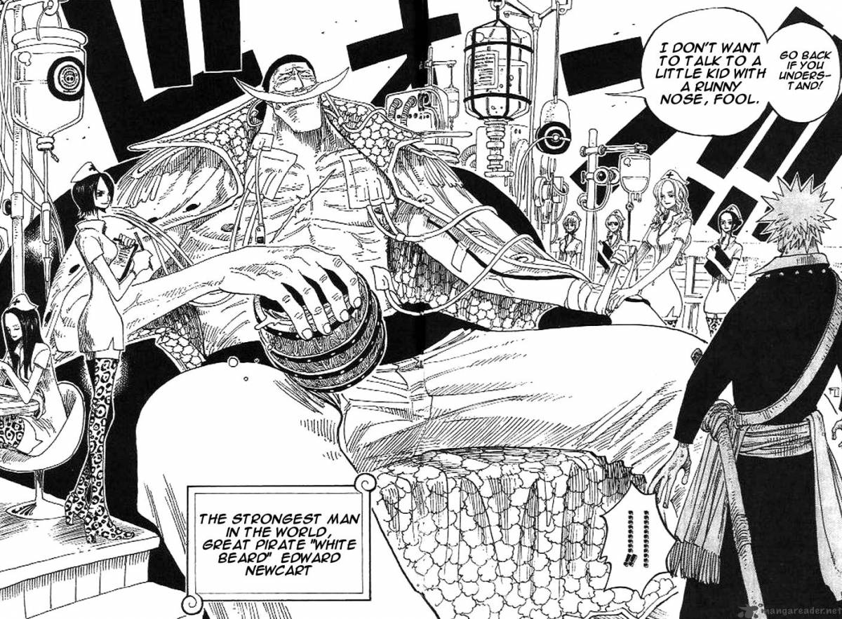 One Piece Chapter 234 — page 12