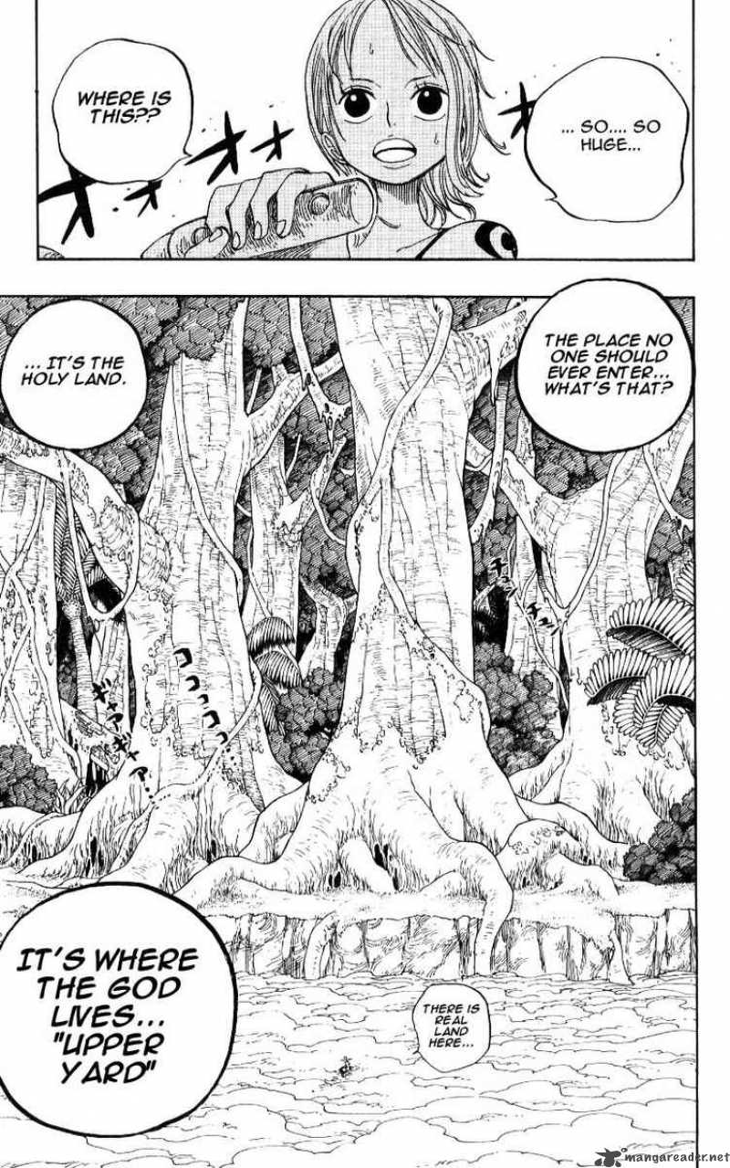 One Piece Chapter 240 — page 17