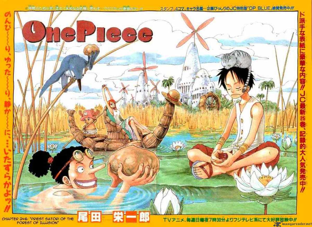 One Piece Chapter 246 — page 1